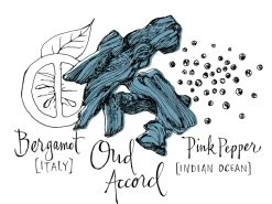 Atelier Cologne Oud Saphir -Parfum Luxe Soldes atelier cologne oud saphir eau de parfum mixte 5