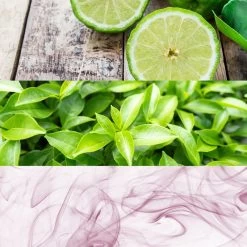 Calvin Klein CK One -Parfum Luxe Soldes calvin klein ck one eau de toilette mixte 1