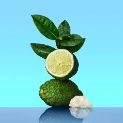 Calvin Klein CK One -Parfum Luxe Soldes calvin klein ck one eau de toilette mixte 2