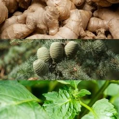 Calvin Klein Euphoria Men -Parfum Luxe Soldes calvin klein euphoria men eau de toilette pour homme 2