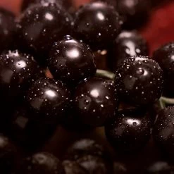 Calvin Klein My Euphoria -Parfum Luxe Soldes calvin klein my euphoria eau de parfum pour femme 5