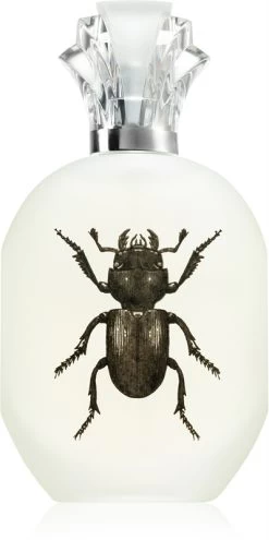 Captain Fawcett Alessandro Manfredini