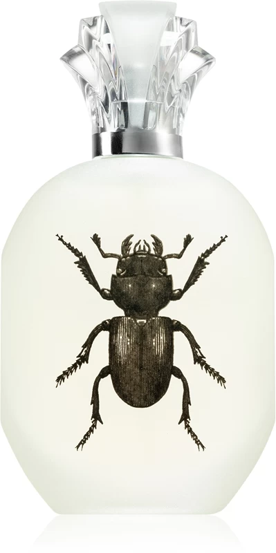 Captain Fawcett Alessandro Manfredini 3 Captain Fawcett Alessandro Manfredini