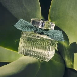 Chloé Rose Naturelle Intense -Parfum Luxe Soldes chloe rose naturelle intense eau de parfum rechargeable pour femme 2