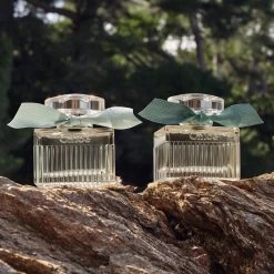 Chloé Rose Naturelle Intense -Parfum Luxe Soldes chloe rose naturelle intense eau de parfum rechargeable pour femme 5