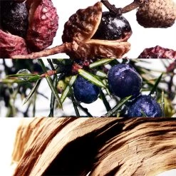 Davidoff Cool Water Wave -Parfum Luxe Soldes davidoff cool water wave eau de toilette pour homme 1