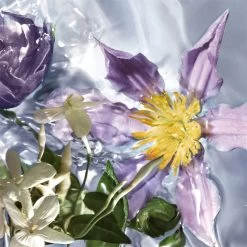 GUERLAIN Aqua Allegoria Flora Salvaggia -Parfum Luxe Soldes guerlain aqua allegoria flora salvaggia eau de toilette rechargeable pour femme 2