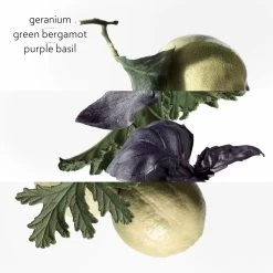 Hermès HERMÈS Colognes Collection Eau De Basilic Pourpre -Parfum Luxe Soldes hermes colognes collection eau de basilic pourpre eau de cologne mixte 2