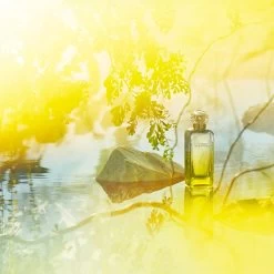 Hermès HERMÈS Le Jardin De Monsieur Li -Parfum Luxe Soldes hermes le jardin de monsieur li eau de toilette mixte 1