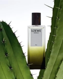 Loewe Esencia Elixir -Parfum Luxe Soldes loewe esencia elixir parfum pour homme 2